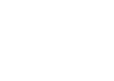 partner-white-cisco